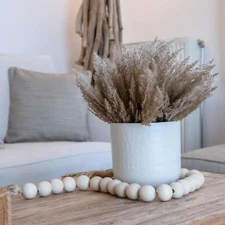 Дом отдыха Anemoessa Cycladic House *